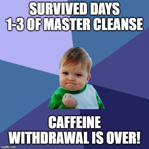 Success Kid Meme | SURVIVED DAYS 1-3 OF MASTER CLEANSE; CAFFEINE WITHDRAWAL IS OVER! | image tagged in memes,success kid | made w/ Imgflip meme maker