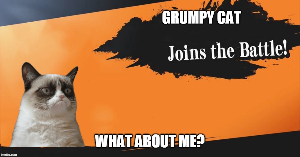 Smash Bros. | GRUMPY CAT WHAT ABOUT ME? | image tagged in smash bros | made w/ Imgflip meme maker