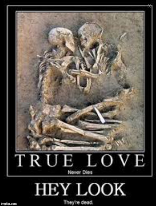Repost but still funny | image tagged in dead,love story,skeletons | made w/ Imgflip meme maker