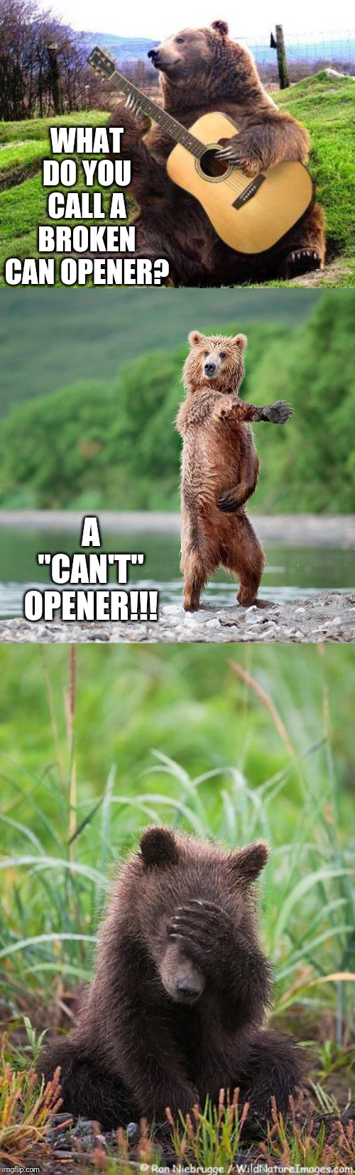 WHAT DO YOU CALL A BROKEN CAN OPENER? A "CAN'T" OPENER!!! | image tagged in bear with guitar,dancing bear,facepalm bear | made w/ Imgflip meme maker
