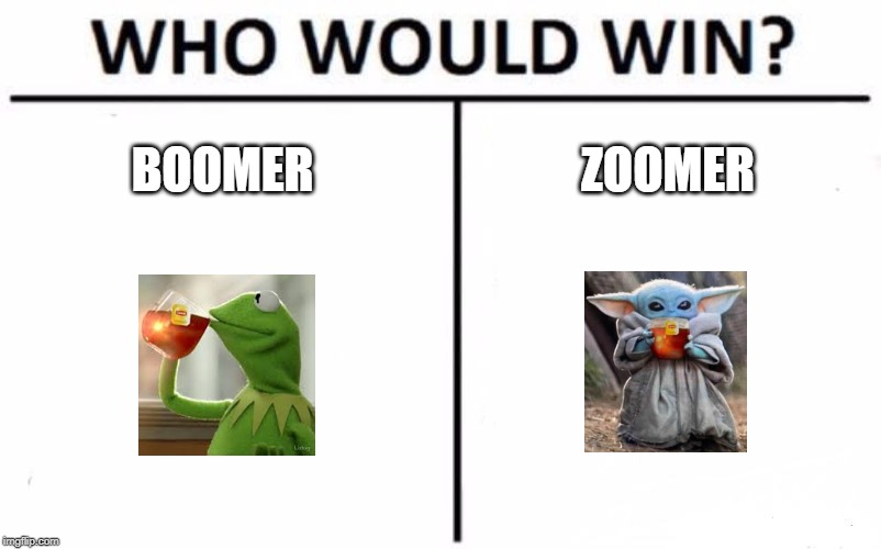 Who Would Win? | BOOMER; ZOOMER | image tagged in memes,who would win | made w/ Imgflip meme maker