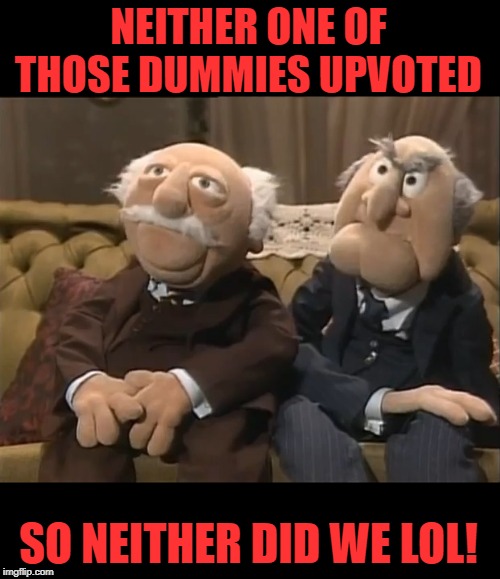 NEITHER ONE OF THOSE DUMMIES UPVOTED SO NEITHER DID WE LOL! | made w/ Imgflip meme maker