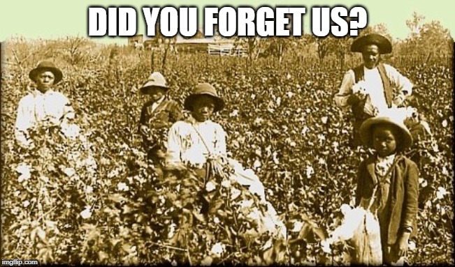 cotton slaves | DID YOU FORGET US? | image tagged in cotton slaves | made w/ Imgflip meme maker