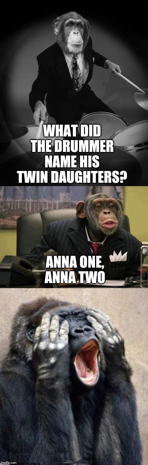WHAT DID THE DRUMMER NAME HIS TWIN DAUGHTERS? ANNA ONE, ANNA TWO | image tagged in dad joke | made w/ Imgflip meme maker