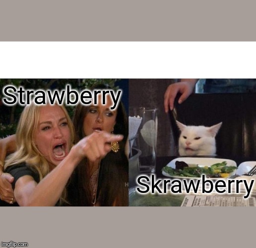 Woman Yelling At Cat Meme | Strawberry; Skrawberry | image tagged in memes,woman yelling at cat | made w/ Imgflip meme maker