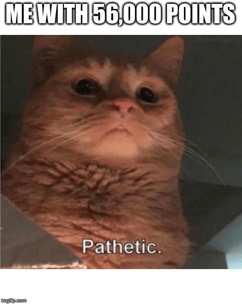 Pathetic Cat | ME WITH 56,000 POINTS | image tagged in pathetic cat | made w/ Imgflip meme maker