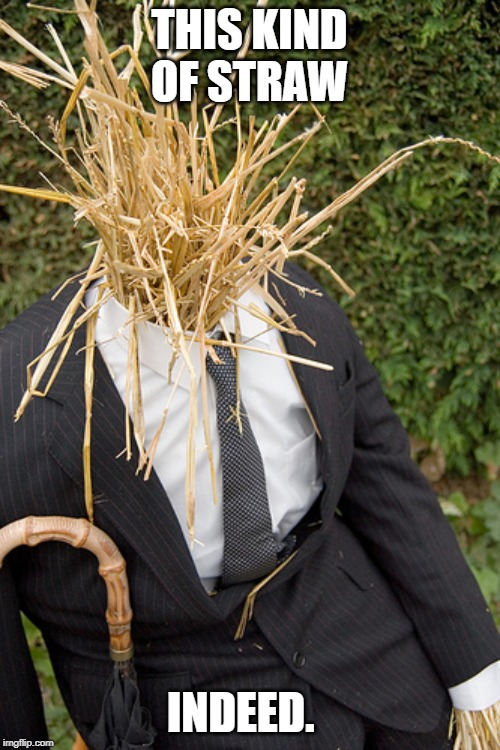 Straw Man | THIS KIND OF STRAW INDEED. | image tagged in straw man | made w/ Imgflip meme maker