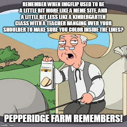 Pepperidge Farm Remembers Meme | REMEMBER WHEN IMGFLIP USED TO BE A LITTLE BIT MORE LIKE A MEME SITE, AND A LITTLE BIT LESS LIKE A KINDERGARTEN CLASS WITH A TEACHER HANGING  | image tagged in memes,pepperidge farm remembers | made w/ Imgflip meme maker