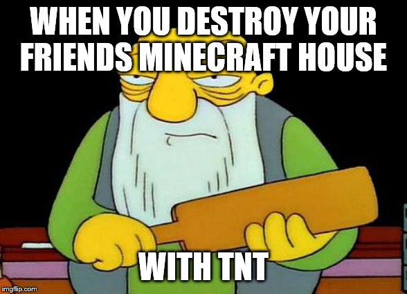That's a paddlin' Meme | WHEN YOU DESTROY YOUR FRIENDS MINECRAFT HOUSE; WITH TNT | image tagged in memes,that's a paddlin' | made w/ Imgflip meme maker