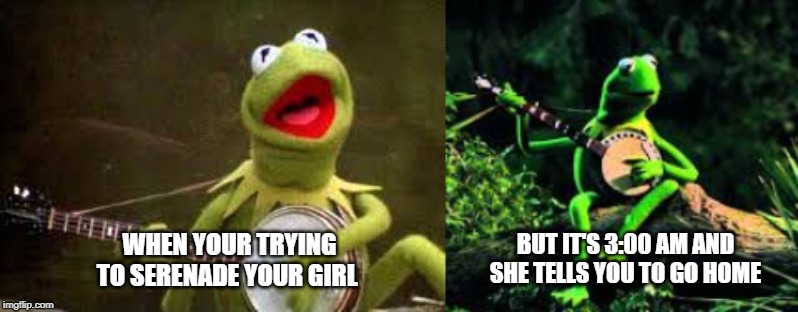 Kermit the frog meme | BUT IT'S 3:00 AM AND SHE TELLS YOU TO GO HOME; WHEN YOUR TRYING TO SERENADE YOUR GIRL | image tagged in kermit the frog | made w/ Imgflip meme maker