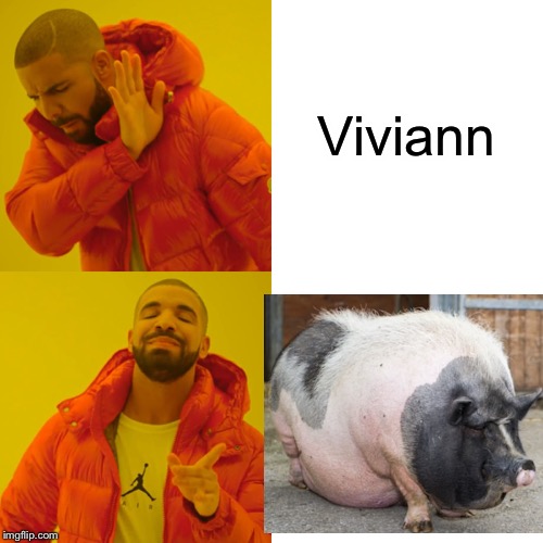 Drake Hotline Bling | Viviann | image tagged in memes,drake hotline bling | made w/ Imgflip meme maker