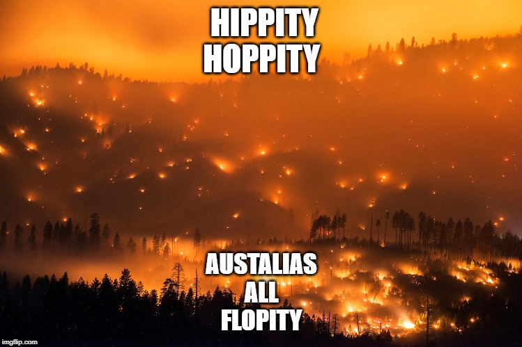 Wild Fire | HIPPITY HOPPITY; AUSTALIAS
ALL
FLOPITY | image tagged in wild fire | made w/ Imgflip meme maker