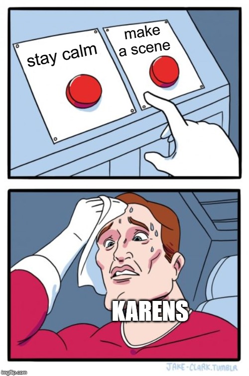 Two Buttons | make a scene; stay calm; KARENS | image tagged in memes,two buttons | made w/ Imgflip meme maker