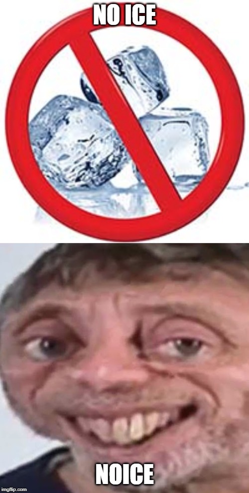 noice | NO ICE; NOICE | image tagged in noice,funny,memes,ice,nope | made w/ Imgflip meme maker
