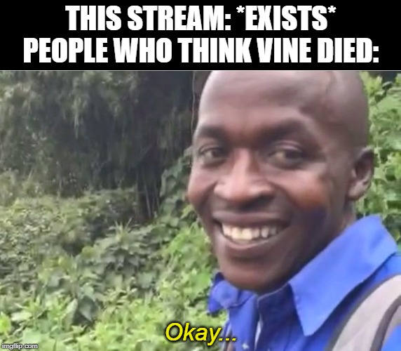 Okay... | THIS STREAM: *EXISTS*
PEOPLE WHO THINK VINE DIED:; Okay... | image tagged in okay vine,vines,that's where you're wrong kiddo | made w/ Imgflip meme maker