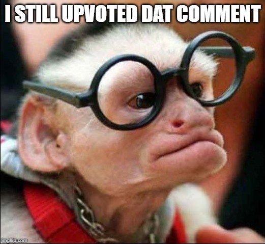 Gangster Monkey | I STILL UPVOTED DAT COMMENT | image tagged in gangster monkey | made w/ Imgflip meme maker