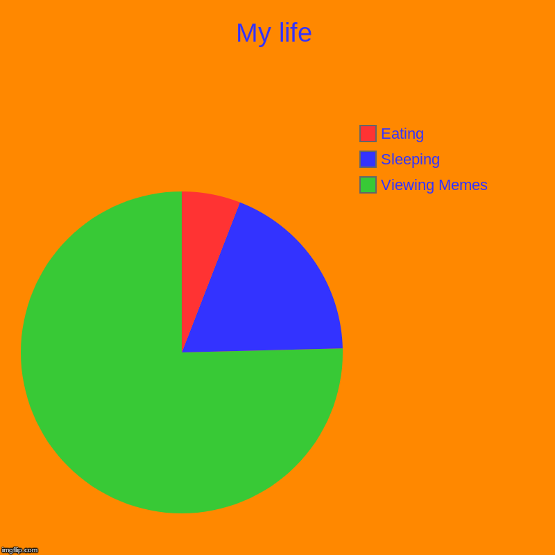 My life | Viewing Memes, Sleeping, Eating | image tagged in charts,pie charts | made w/ Imgflip chart maker