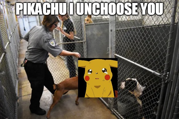pikachu | PIKACHU I UNCHOOSE YOU | image tagged in pikachu crying | made w/ Imgflip meme maker