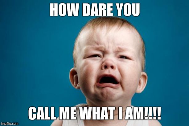BABY CRYING | HOW DARE YOU CALL ME WHAT I AM!!!! | image tagged in baby crying | made w/ Imgflip meme maker