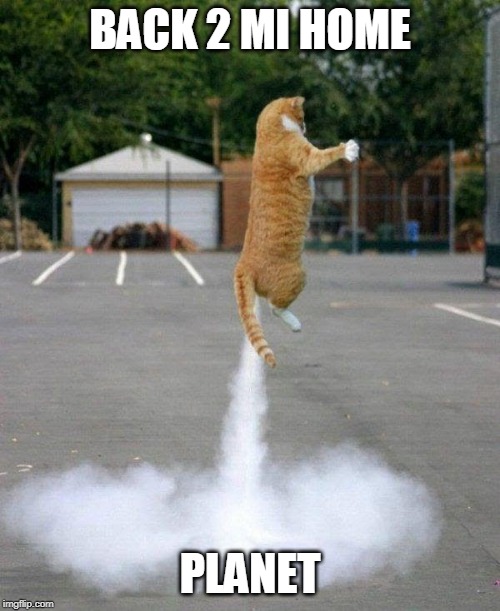 Farting Cat | BACK 2 MI HOME; PLANET | image tagged in farting cat | made w/ Imgflip meme maker