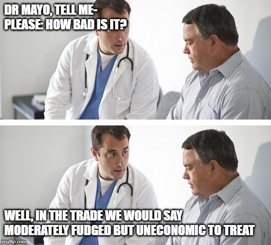 Doctor and Patient | DR MAYO, TELL ME- PLEASE: HOW BAD IS IT? WELL, IN THE TRADE WE WOULD SAY MODERATELY FUDGED BUT UNECONOMIC TO TREAT | image tagged in doctor and patient | made w/ Imgflip meme maker