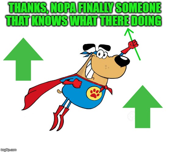 Wassupvote Dawg by kewlew | THANKS, NOPA FINALLY SOMEONE THAT KNOWS WHAT THERE DOING | image tagged in wassupvote dawg by kewlew | made w/ Imgflip meme maker