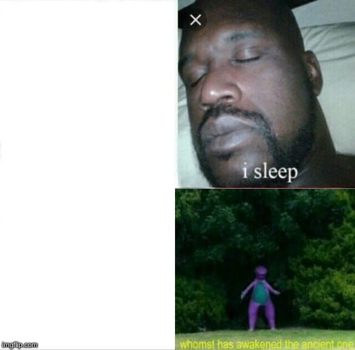 Sleeping Shaq Meme | image tagged in memes,sleeping shaq | made w/ Imgflip meme maker