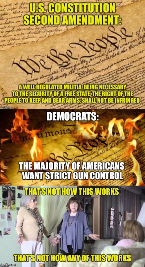 Majority Rule is Mob Rule | image tagged in second amendment,majority rule,republic,constitution | made w/ Imgflip meme maker