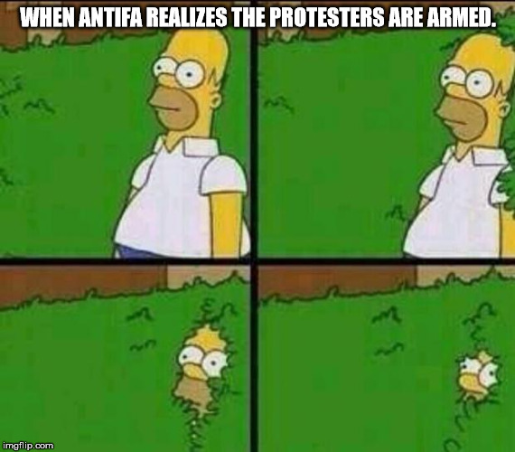 Homer Simpson in Bush - Large | WHEN ANTIFA REALIZES THE PROTESTERS ARE ARMED. | image tagged in homer simpson in bush - large | made w/ Imgflip meme maker