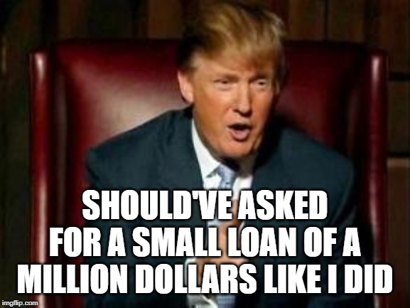 Donald Trump | SHOULD'VE ASKED FOR A SMALL LOAN OF A MILLION DOLLARS LIKE I DID | image tagged in donald trump | made w/ Imgflip meme maker