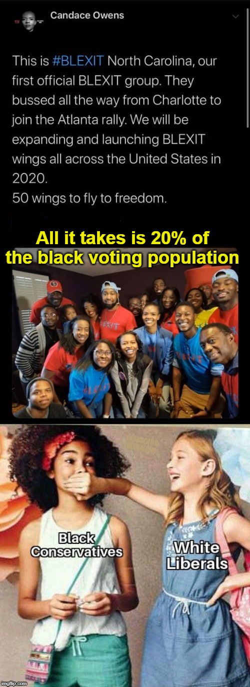 Black people thinking for themselves...I wonder how white liberals will respond. | All it takes is 20% of the black voting population | image tagged in blexit,candace owens,black conservatives,white liberals,election 2020,memes,Conservative | made w/ Imgflip meme maker