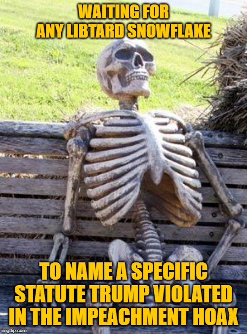 Impeachment Hoax | WAITING FOR ANY LIBTARD SNOWFLAKE; TO NAME A SPECIFIC STATUTE TRUMP VIOLATED IN THE IMPEACHMENT HOAX | image tagged in memes,waiting skeleton,donald trump | made w/ Imgflip meme maker
