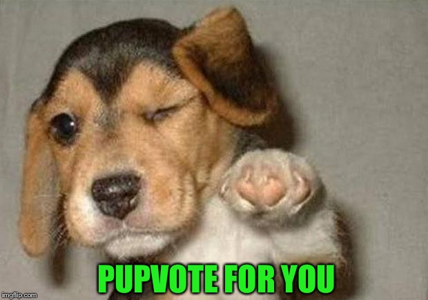 Winking Dog | PUPVOTE FOR YOU | image tagged in winking dog | made w/ Imgflip meme maker