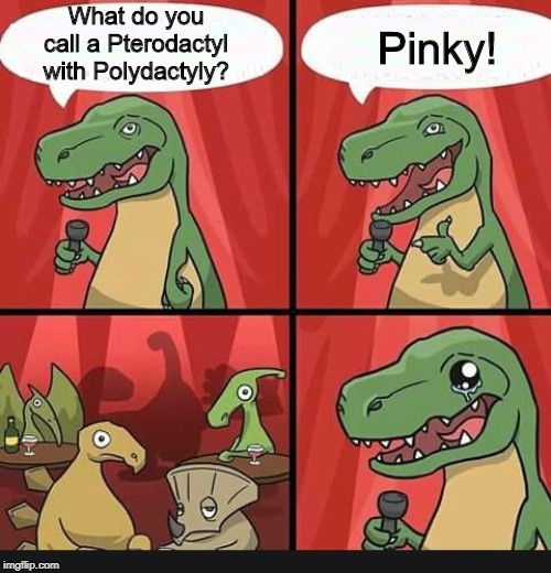 bad dino joke | What do you call a Pterodactyl with Polydactyly? Pinky! | image tagged in bad dino joke | made w/ Imgflip meme maker