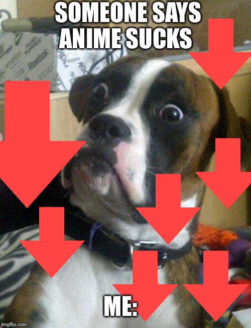 Blankie the Shocked Dog | SOMEONE SAYS ANIME SUCKS ME: | image tagged in blankie the shocked dog | made w/ Imgflip meme maker