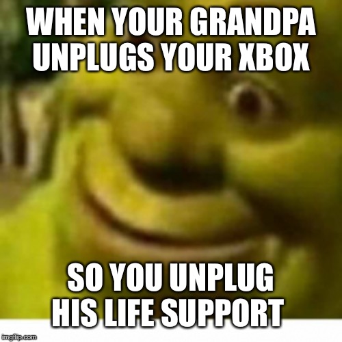 WHEN YOUR GRANDPA UNPLUGS YOUR XBOX; SO YOU UNPLUG HIS LIFE SUPPORT | image tagged in shrek,tiktok | made w/ Imgflip meme maker