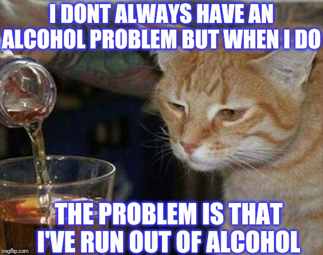 sad cat drinking booze | I DONT ALWAYS HAVE AN ALCOHOL PROBLEM BUT WHEN I DO THE PROBLEM IS THAT I'VE RUN OUT OF ALCOHOL | image tagged in sad cat drinking booze | made w/ Imgflip meme maker