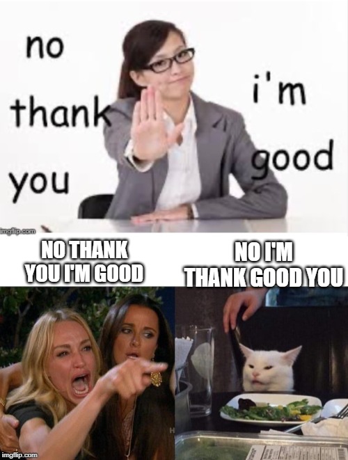 NO I'M THANK GOOD YOU; NO THANK YOU I'M GOOD | image tagged in memes,woman yelling at cat | made w/ Imgflip meme maker