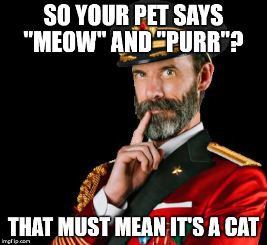 captain obvious | SO YOUR PET SAYS "MEOW" AND "PURR"? THAT MUST MEAN IT'S A CAT | image tagged in captain obvious | made w/ Imgflip meme maker