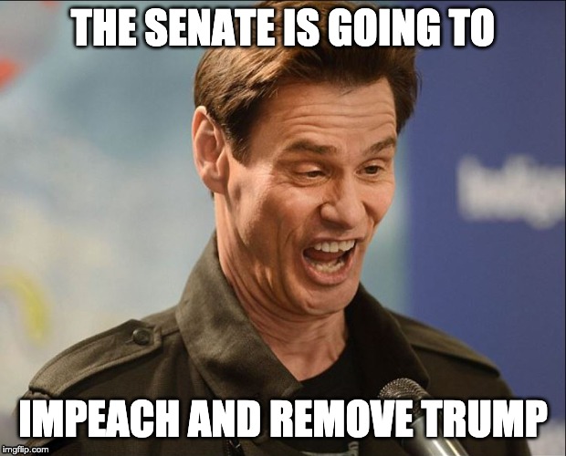 DOOFUS | THE SENATE IS GOING TO; IMPEACH AND REMOVE TRUMP | image tagged in doofus | made w/ Imgflip meme maker