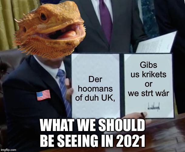 Trump Bill Signing Meme | Gibs us krikets or we strt wár; Der hoomans of duh UK, 🇺🇸; WHAT WE SHOULD BE SEEING IN 2021 | image tagged in memes,trump bill signing | made w/ Imgflip meme maker