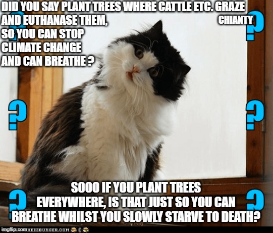 Plant Trees | DID YOU SAY PLANT TREES WHERE CATTLE ETC. GRAZE 
AND EUTHANASE THEM,
SO YOU CAN STOP 
CLIMATE CHANGE 
AND CAN BREATHE ? CHIANTY; SOOO IF YOU PLANT TREES EVERYWHERE, IS THAT JUST SO YOU CAN BREATHE WHILST YOU SLOWLY STARVE TO DEATH? | image tagged in nope | made w/ Imgflip meme maker