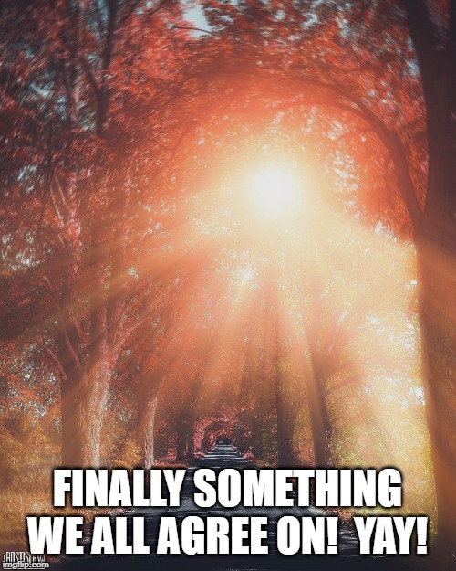 Sunlight | FINALLY SOMETHING WE ALL AGREE ON!  YAY! | image tagged in sunlight | made w/ Imgflip meme maker