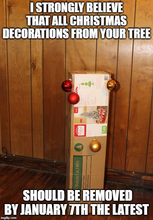  I STRONGLY BELIEVE THAT ALL CHRISTMAS DECORATIONS FROM YOUR TREE; SHOULD BE REMOVED BY JANUARY 7TH THE LATEST | image tagged in decorating the christmas tree | made w/ Imgflip meme maker