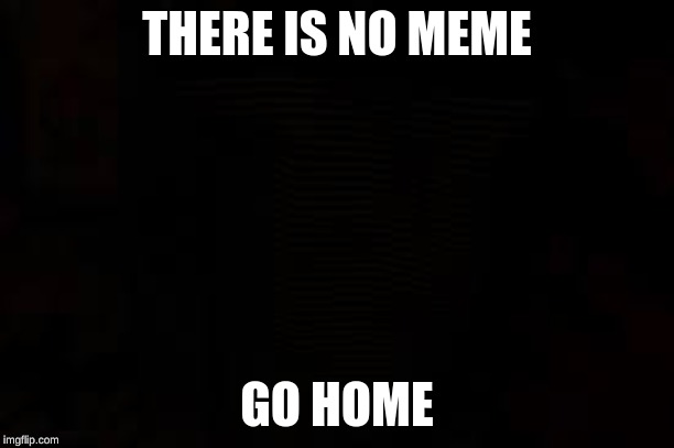 THERE IS NO MEME; GO HOME | image tagged in go home,nothing | made w/ Imgflip meme maker