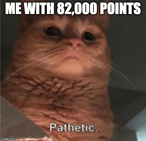 Pathetic Cat | ME WITH 82,000 POINTS | image tagged in pathetic cat | made w/ Imgflip meme maker