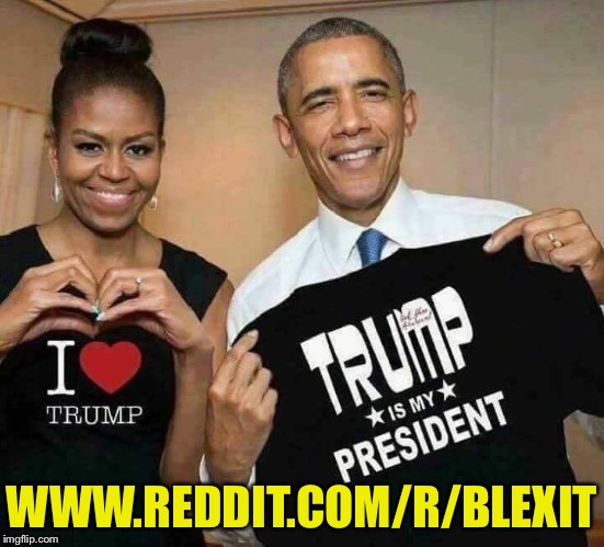 BLEXIT | WWW.REDDIT.COM/R/BLEXIT | image tagged in blexit | made w/ Imgflip meme maker