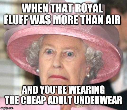 the Queen Elizabeth II | WHEN THAT ROYAL FLUFF WAS MORE THAN AIR; AND YOU'RE WEARING THE CHEAP ADULT UNDERWEAR | image tagged in the queen elizabeth ii | made w/ Imgflip meme maker