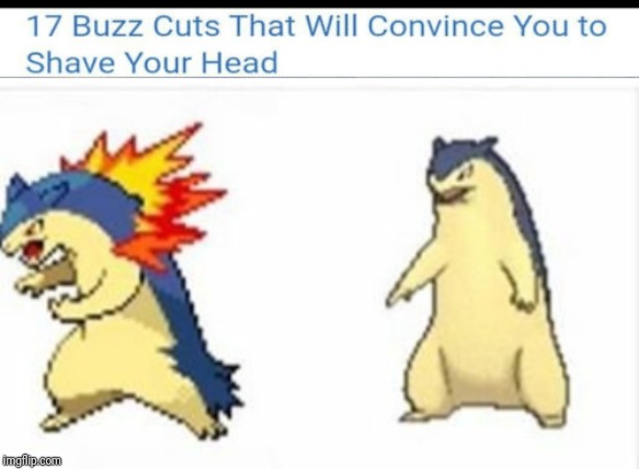 I'm convinced | image tagged in memes,pokemon,tysplosion | made w/ Imgflip meme maker