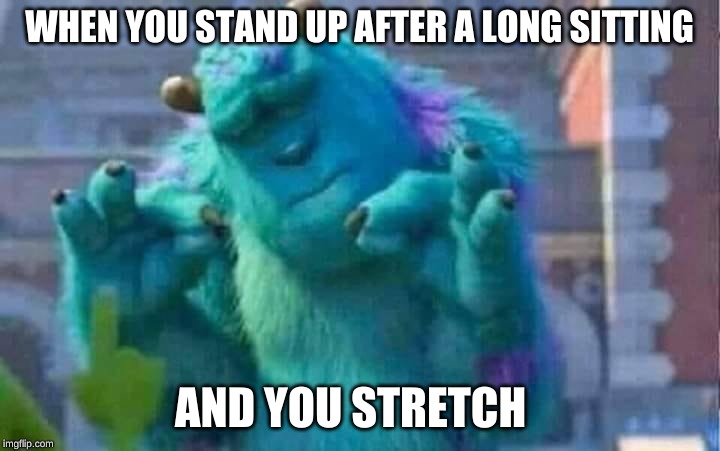 Sully shutdown | WHEN YOU STAND UP AFTER A LONG SITTING; AND YOU STRETCH | image tagged in sully shutdown | made w/ Imgflip meme maker